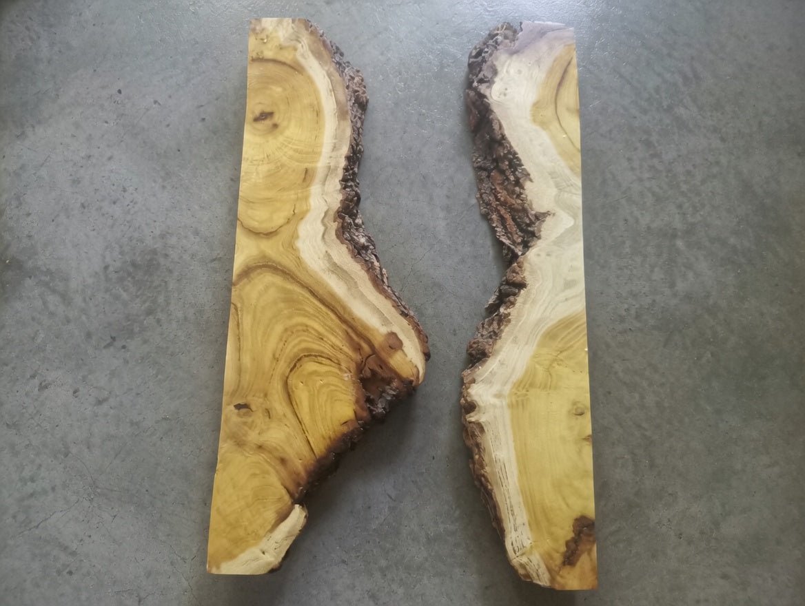 Live Edge Mulberry Wood Slabs for River Table 50cm