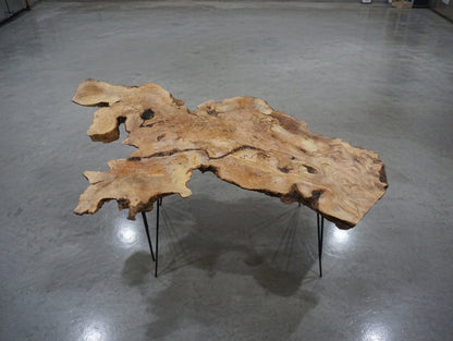 Live Edge Olive Center Coffee Table 80cm