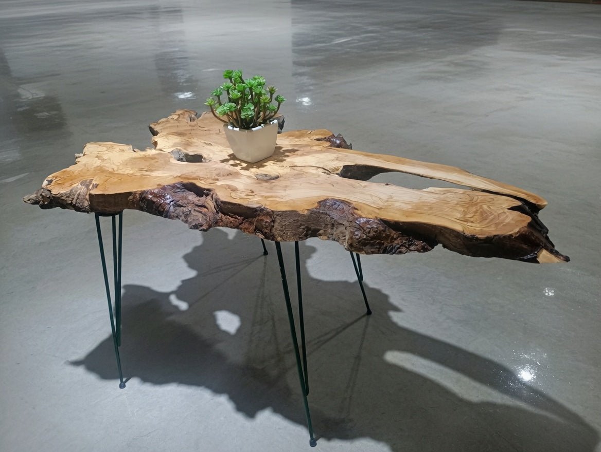 Live Edge Olive Center Coffee Table 80cm