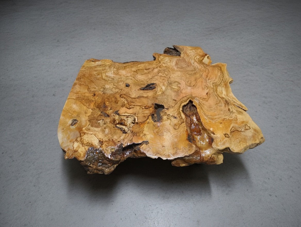 Live Edge Olive Coffee Table 40-50cm