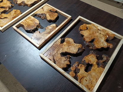 Olive Root Slab Set 16" x 24" 3 Pcs