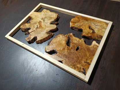 Olive Root Slab Set 16" x 24" 3 Pcs