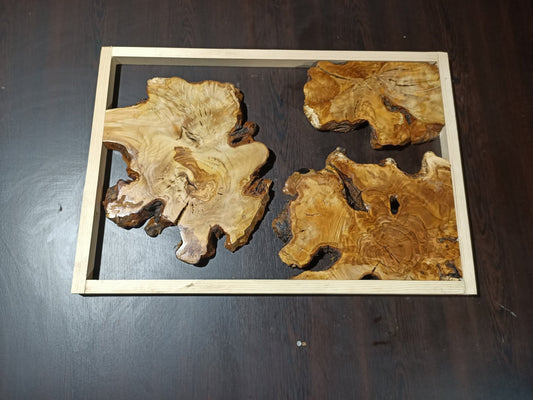 Olive Root Slab Set 16" x 24" 3 Pcs