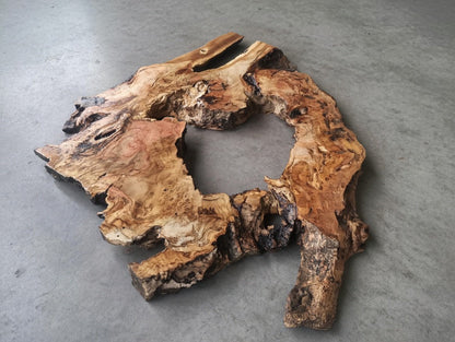 Olive Root Slab for DIY Epoxy Table 40cm - 50cm