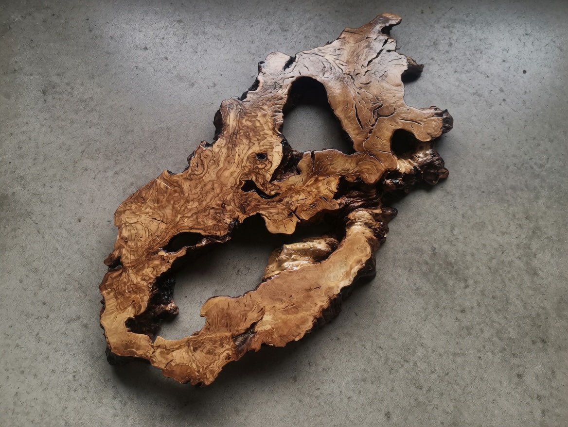 Olive Root Slab for DIY Epoxy Table 40cm - 50cm