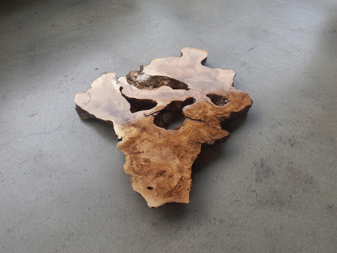 Olive Root Slab for DIY Epoxy Table 40cm - 50cm