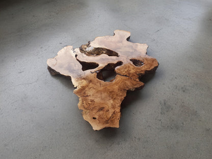 Olive Root Slab for DIY Epoxy Table 40cm - 50cm