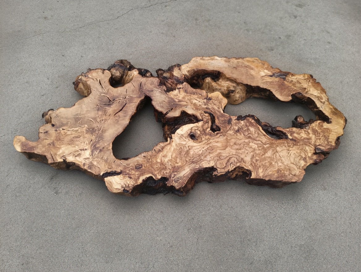 Olive Root Slab for DIY Epoxy Table 40cm - 50cm