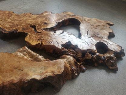 Olive Root Slab for DIY Epoxy Table 40cm - 50cm