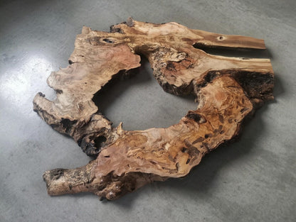 Olive Root Slab for DIY Epoxy Table 40cm - 50cm