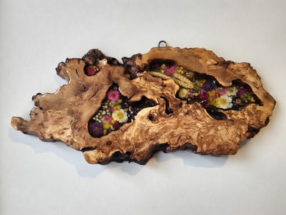 Olive Root Slab for DIY Epoxy Table 40cm - 50cm