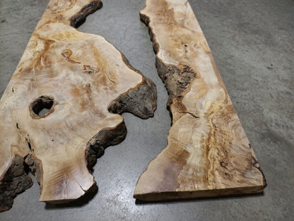 Olive Wood Slab for DIY Epoxy River Table 60cm