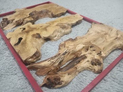 Olive Slab Set for Vertical River Table 60-80-120