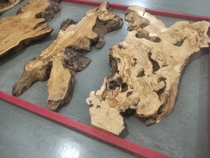 Olive Slab Set for Vertical River Table 60-80-120