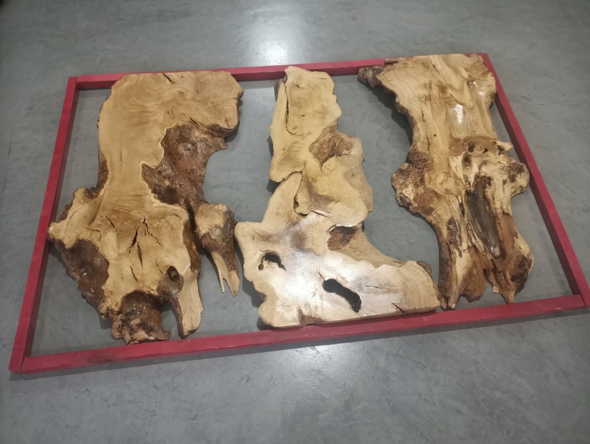 Olive Slab Set for Vertical River Table 60-80-120