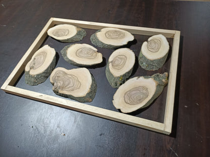 Olive Branches 16" x 24" 8Pcs