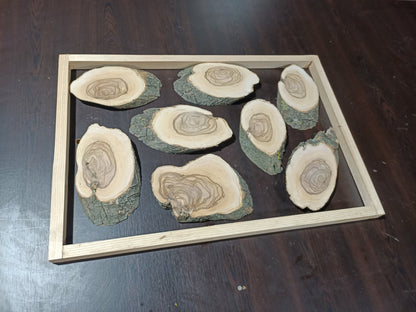 Olive Branches 16" x 24" 8Pcs