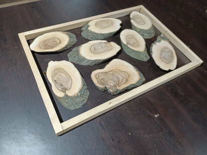 Olive Branches 16" x 24" 8Pcs
