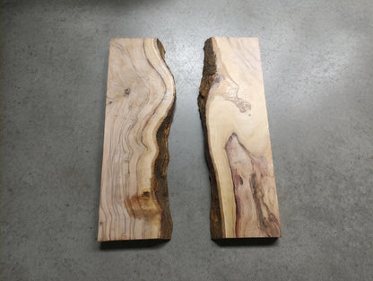 Olive Wood Slab 16"