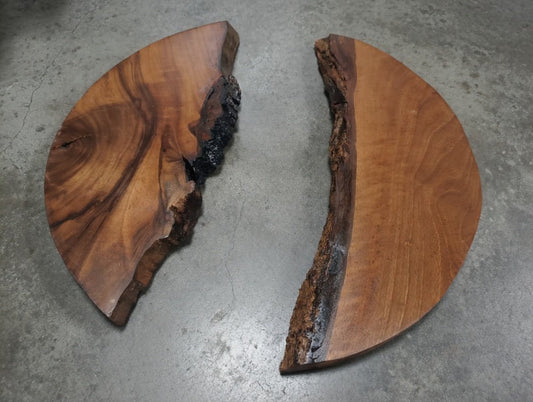 Round Black Walnut Slabs 40cm-50cm