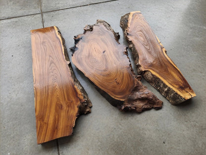 Wild Olive Slab Set 3 Pcs