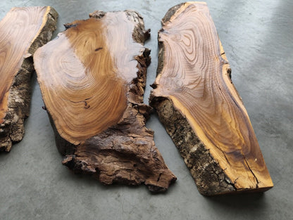 Wild Olive Slab Set 3 Pcs