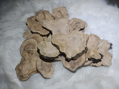 Live Edge Olive Wood Slab from Tree Branches for DIY and Epoxy, Ready to be Resin Table, Cleared Wood Slab for Epoxy Resin Wood, Burl Wood