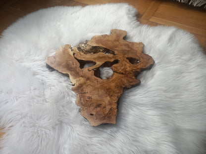 Olive Root Slab for DIY Epoxy Table 40cm - 50cm