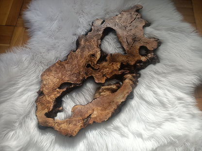 Olive Root Slab for DIY Epoxy Table 40cm - 50cm