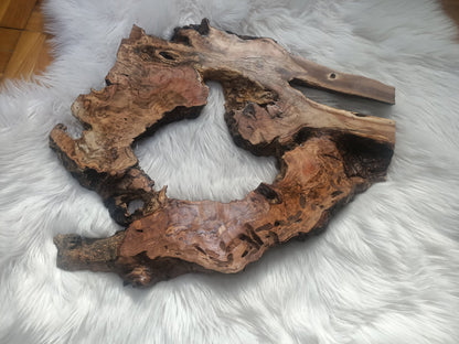 Olive Root Slab for DIY Epoxy Table 40cm - 50cm