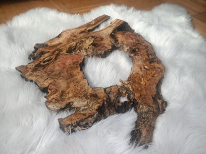 Olive Root Slab for DIY Epoxy Table 40cm - 50cm