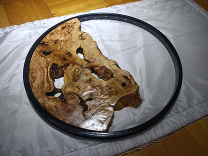 Round Olive Slab for Epoxy Projects